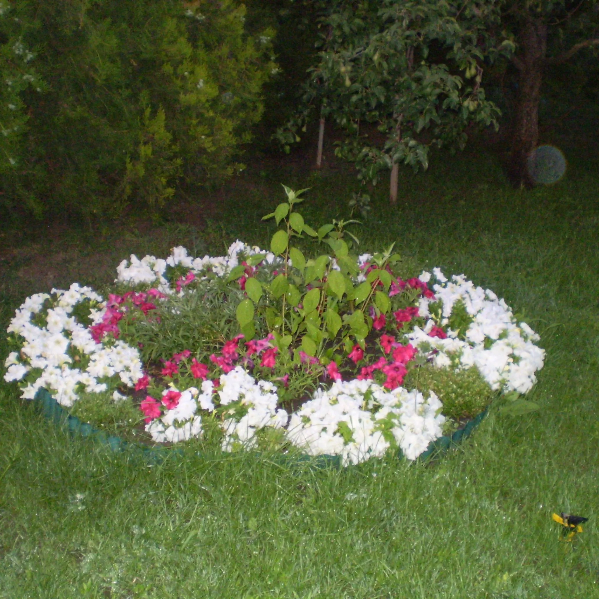 Szántó Apartman Orosháza – Orosháza, Ungaria