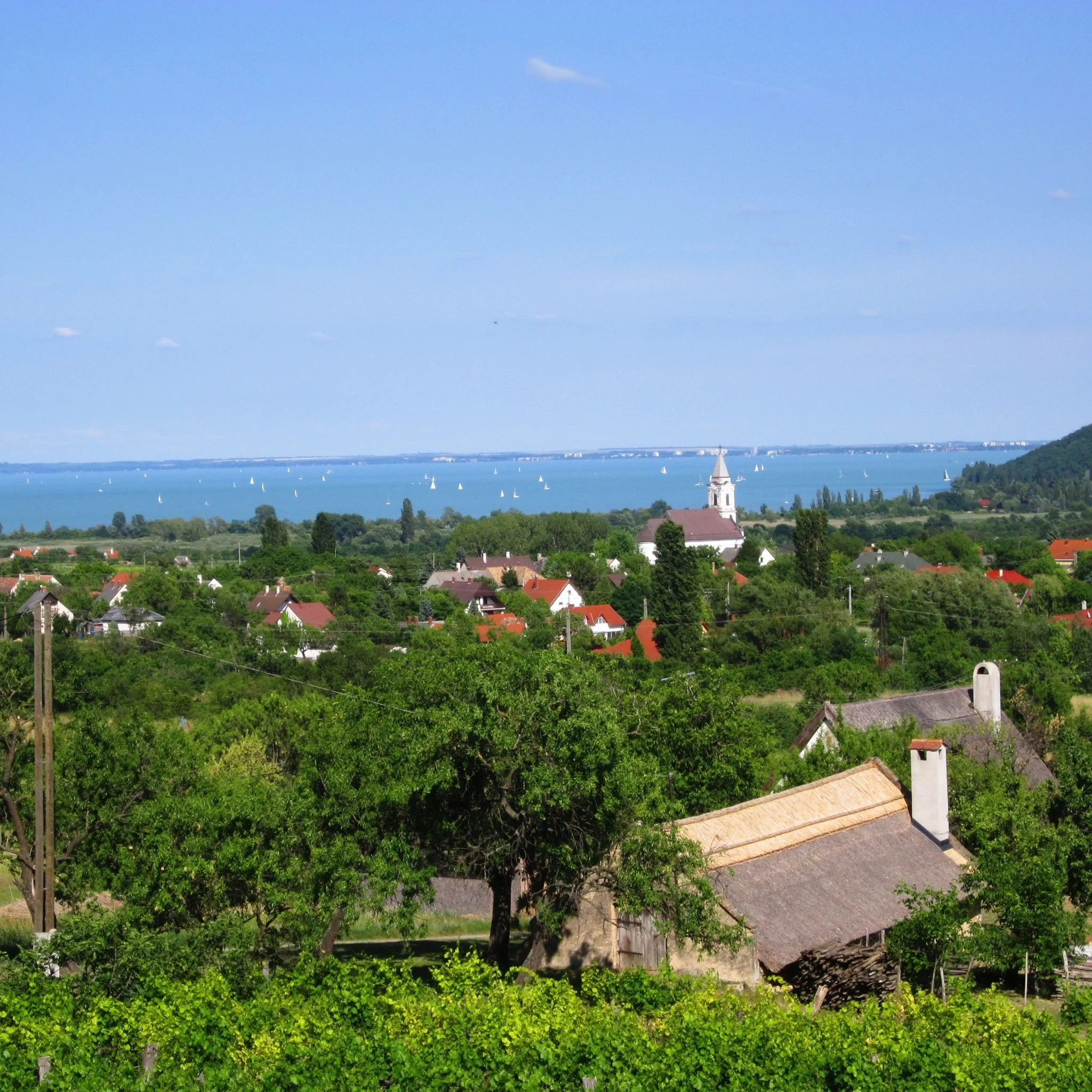 Öreghegyi Vendégház Aszófő - foto 5