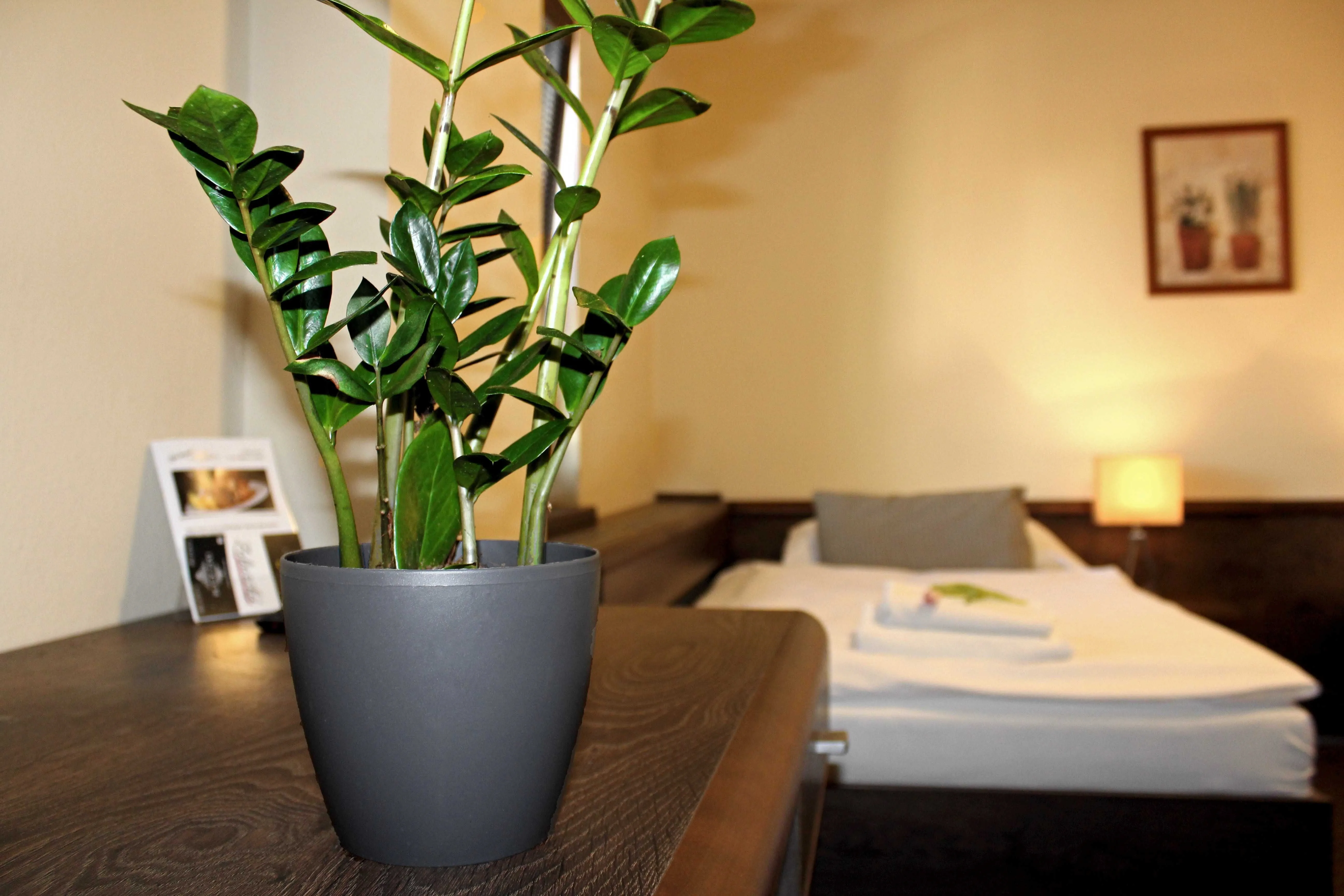 Penzión & Wellness Zoborská Nitra – Nitra, Slovensko