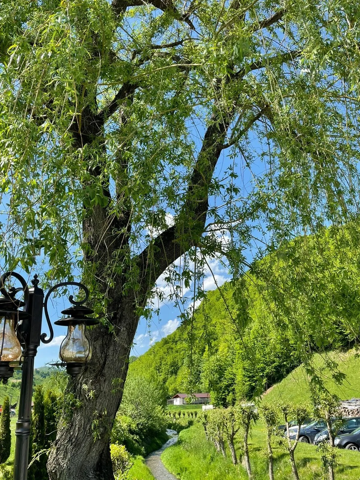 Pensiunea Flori de Măr Poiana Mărului - foto 4
