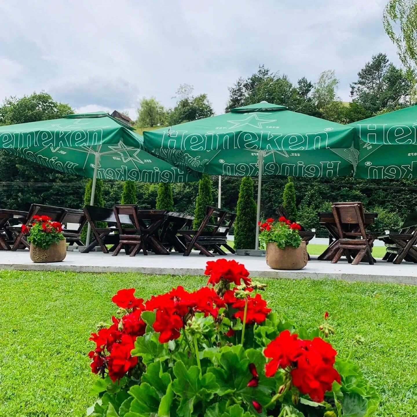 Pensiunea Flori de Măr Poiana Mărului - foto 8