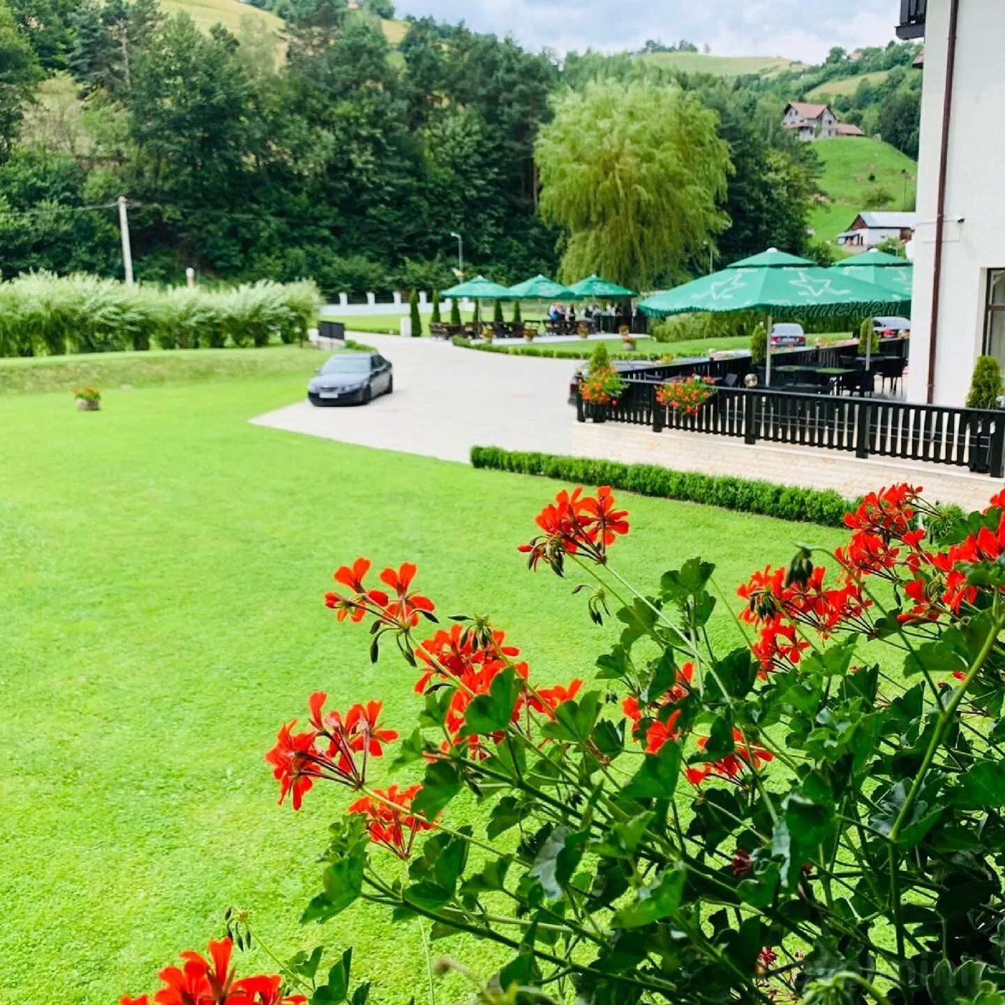 Pensiunea Flori de Măr Poiana Mărului - foto 9