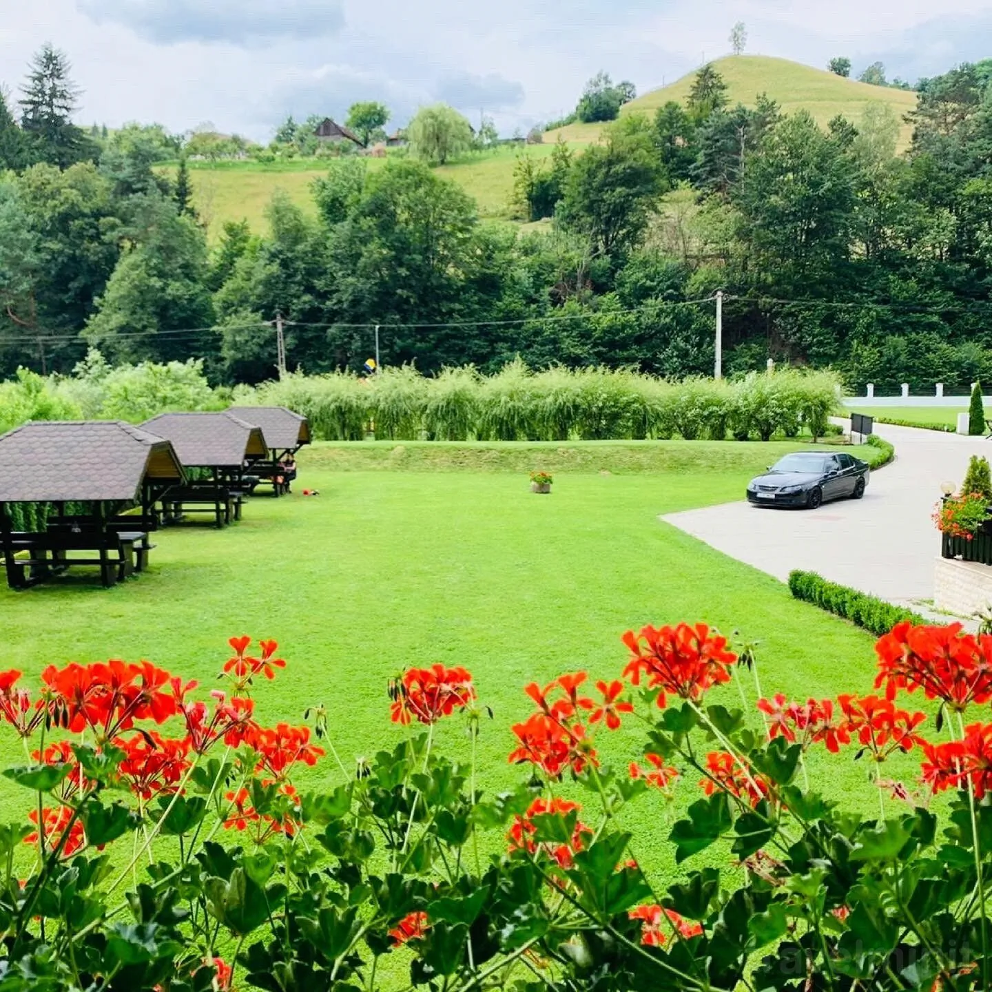 Pensiunea Flori de Măr Poiana Mărului - foto 10