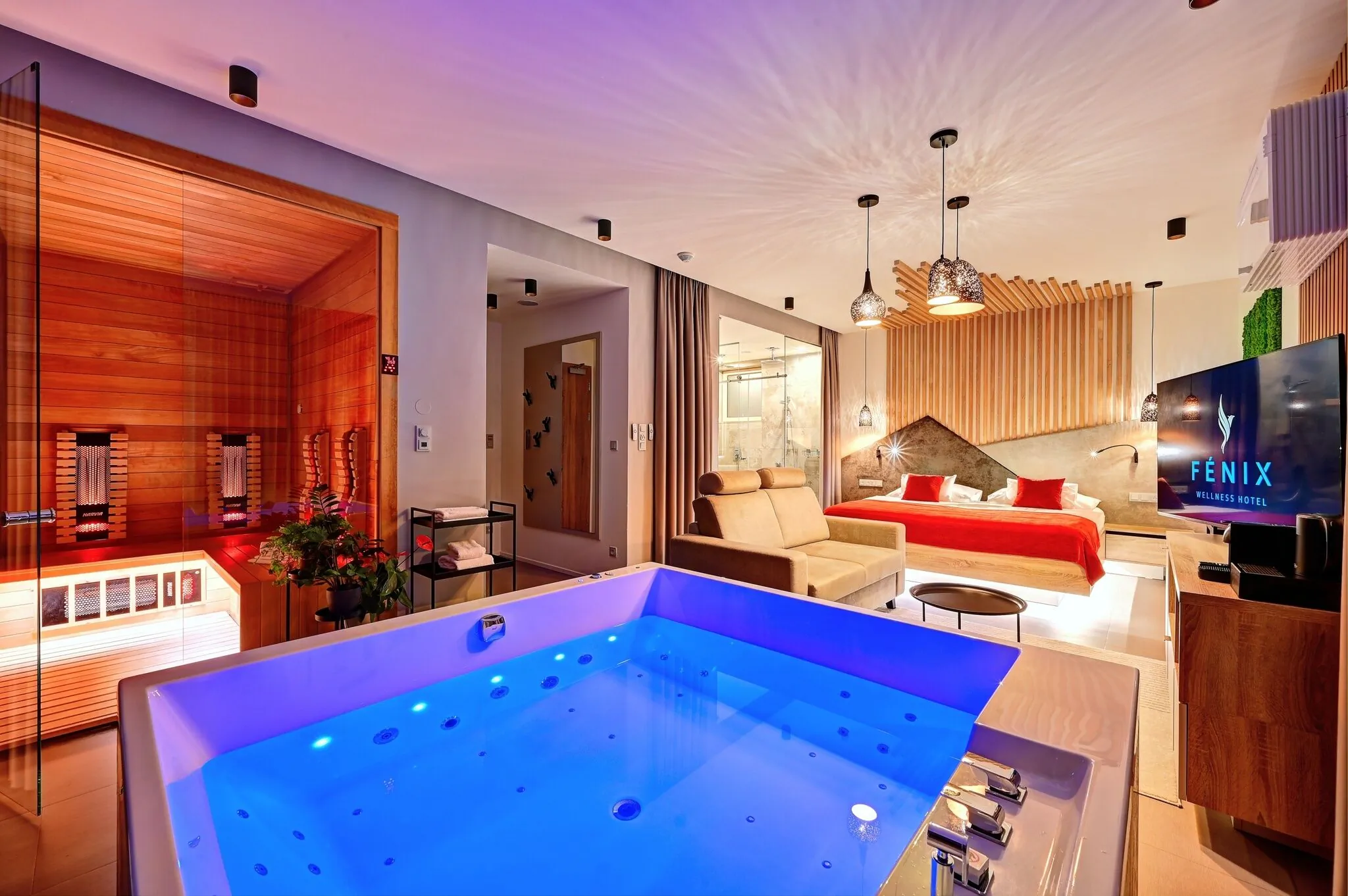 WELLNESS HOTEL FÉNIX Liberec – Liberec, Česká republika