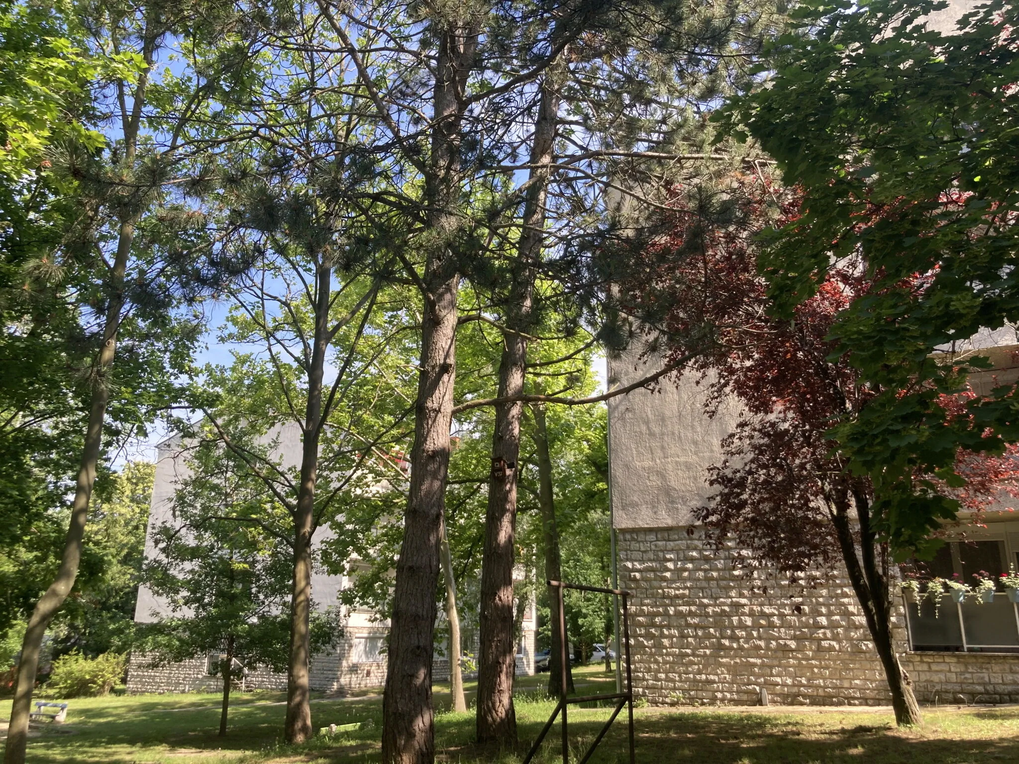 Oázis Apartman Veszprém – Comitatul Veszprém, Ungaria