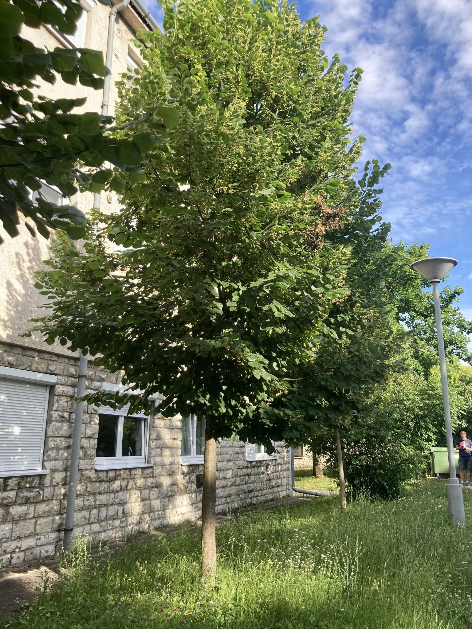 Oázis Apartman Veszprém – Comitatul Veszprém, Ungaria