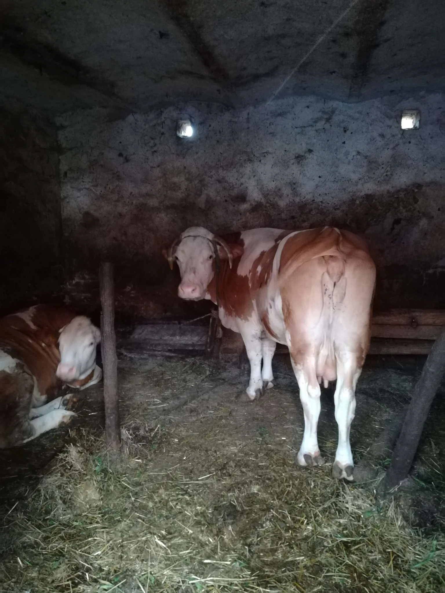 Kisaranyos Vendégház Velemér – Velemér, Maďarsko
