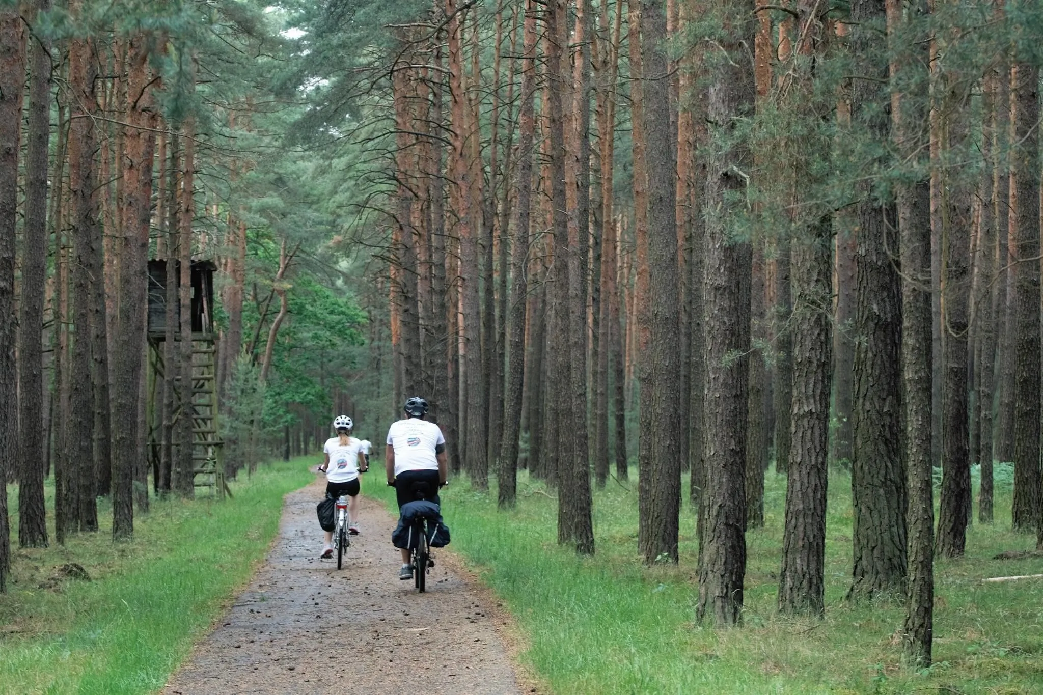 Bike Hostel & Camp Przewóz – Przewóz, Polonia
