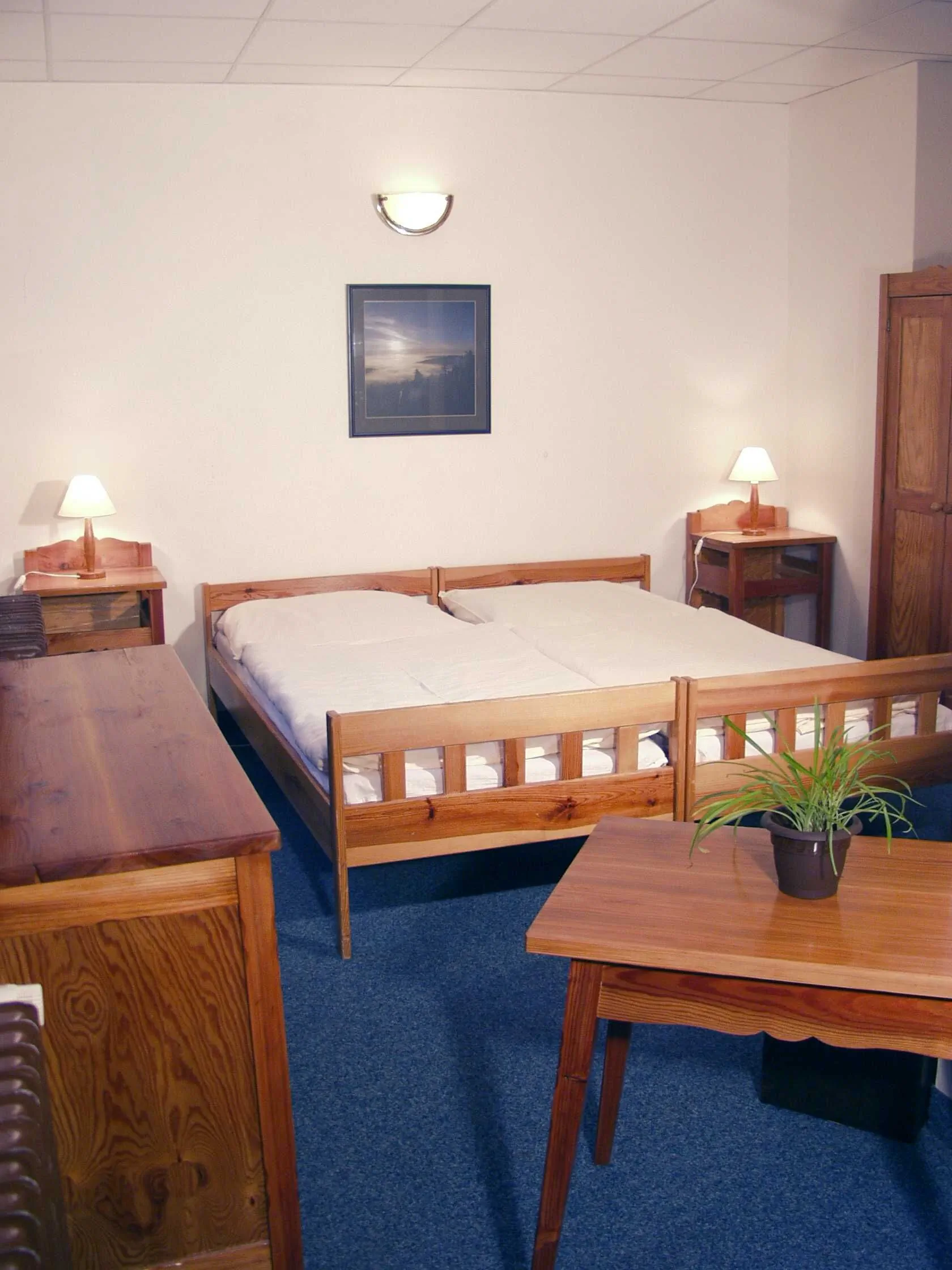 Horský hotel Flora Vítkovice – Vítkovice, Republica Cehă