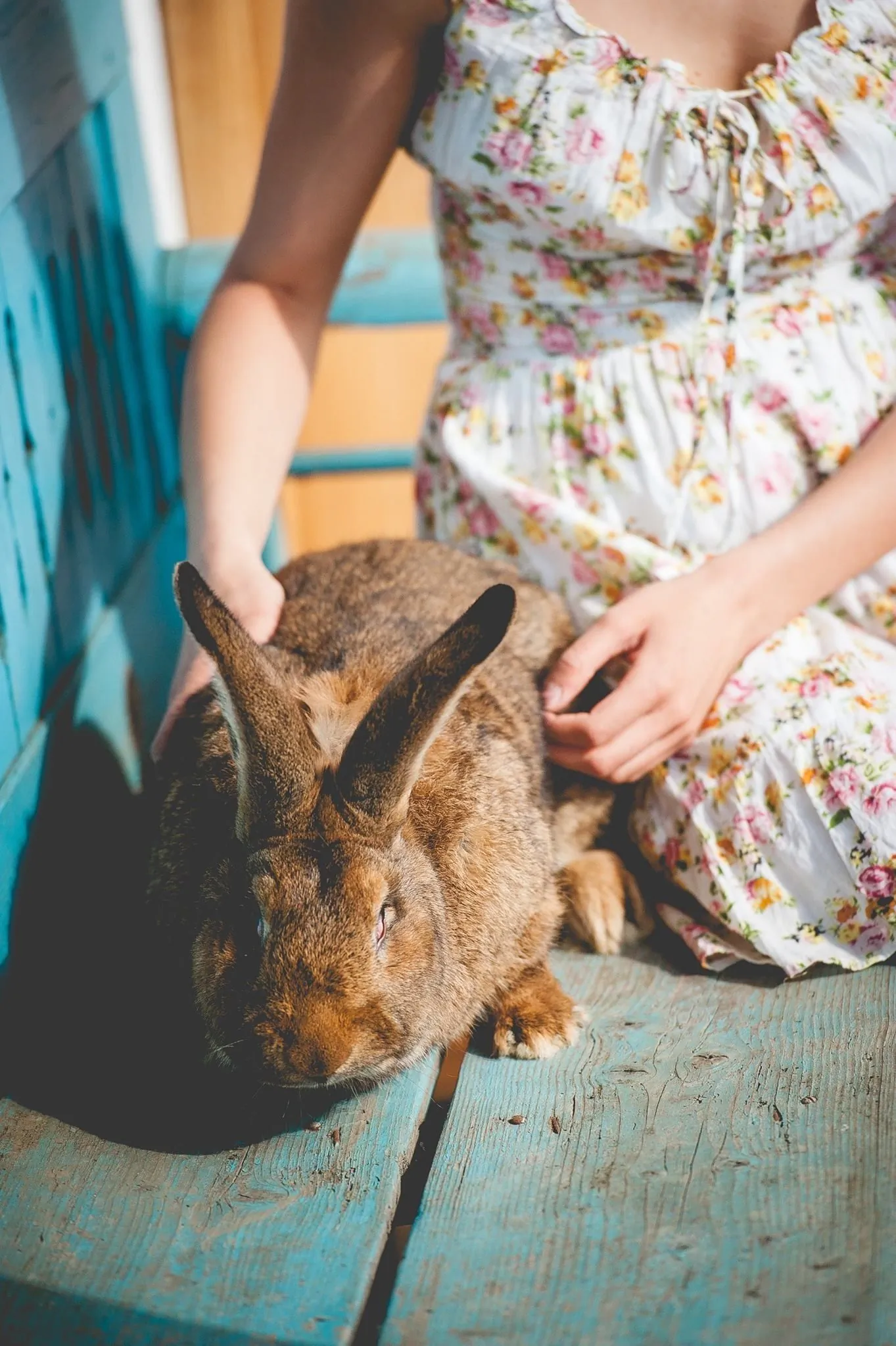 Faluhely Major Vendégház Mátranovák – Mátranovák, Ungaria