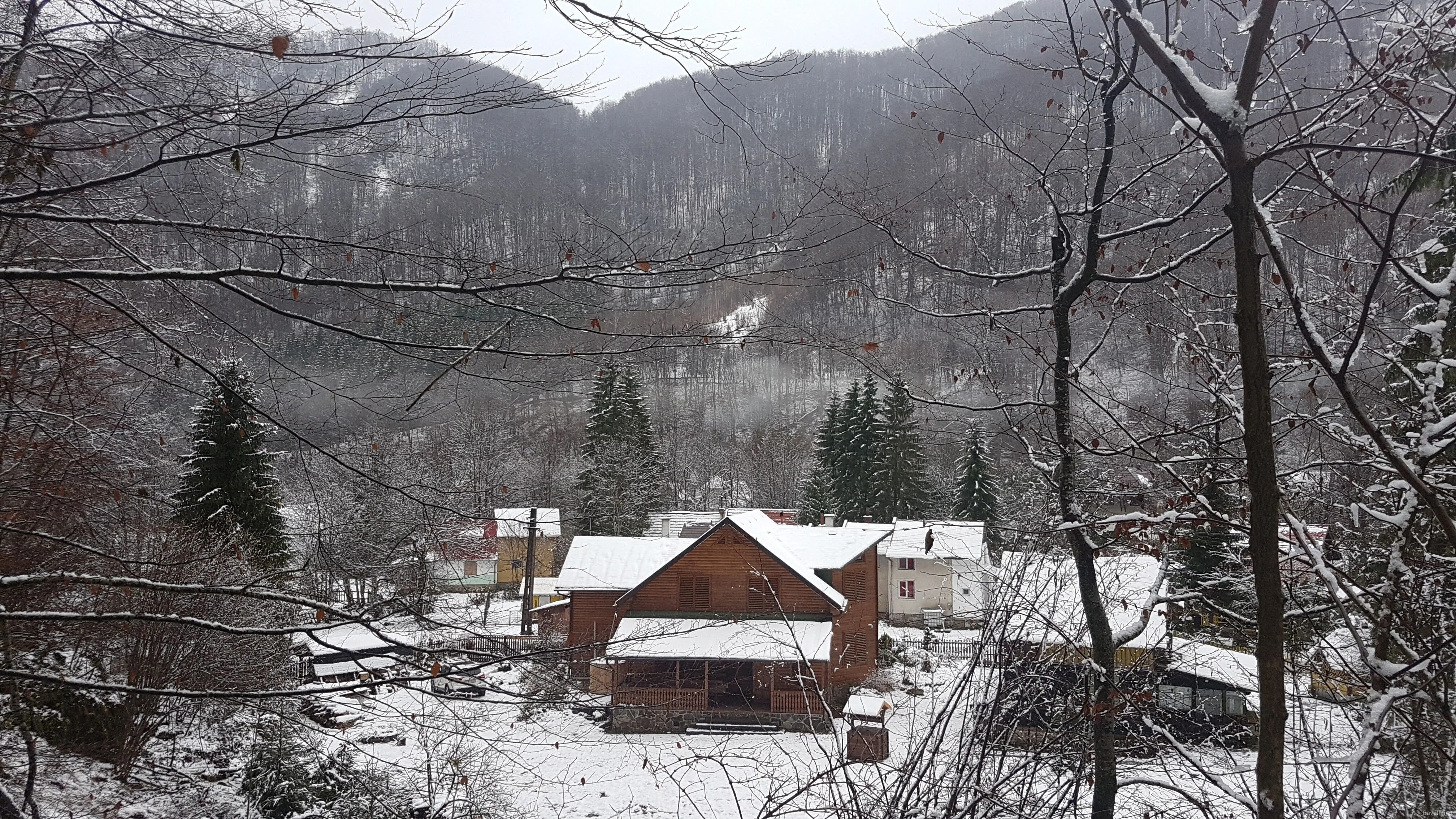 Cabana Krókusz Pietroasa - Boga – Pietroasa, România