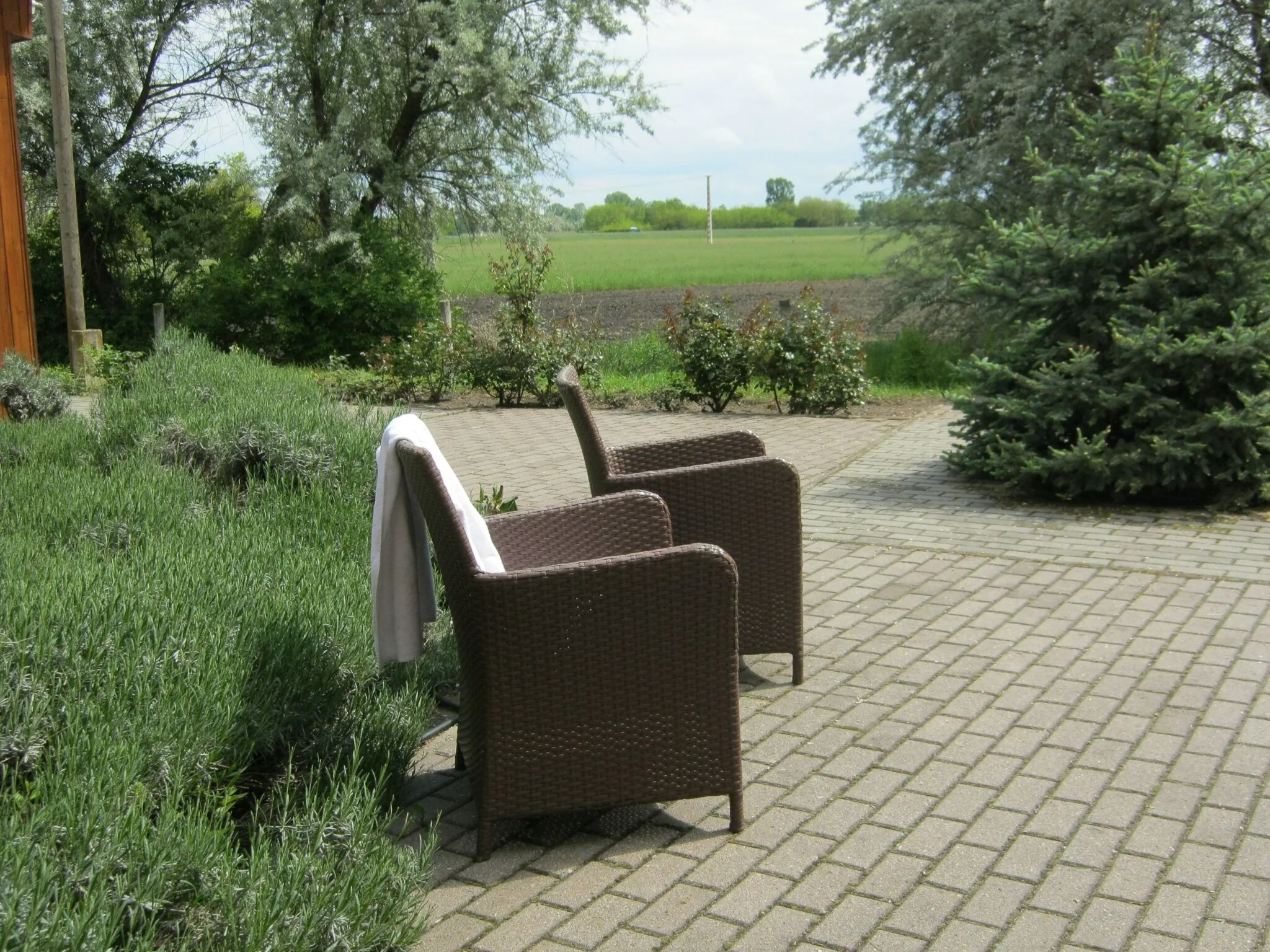 Tündérrózsa Vendégház Mórahalom - foto 5