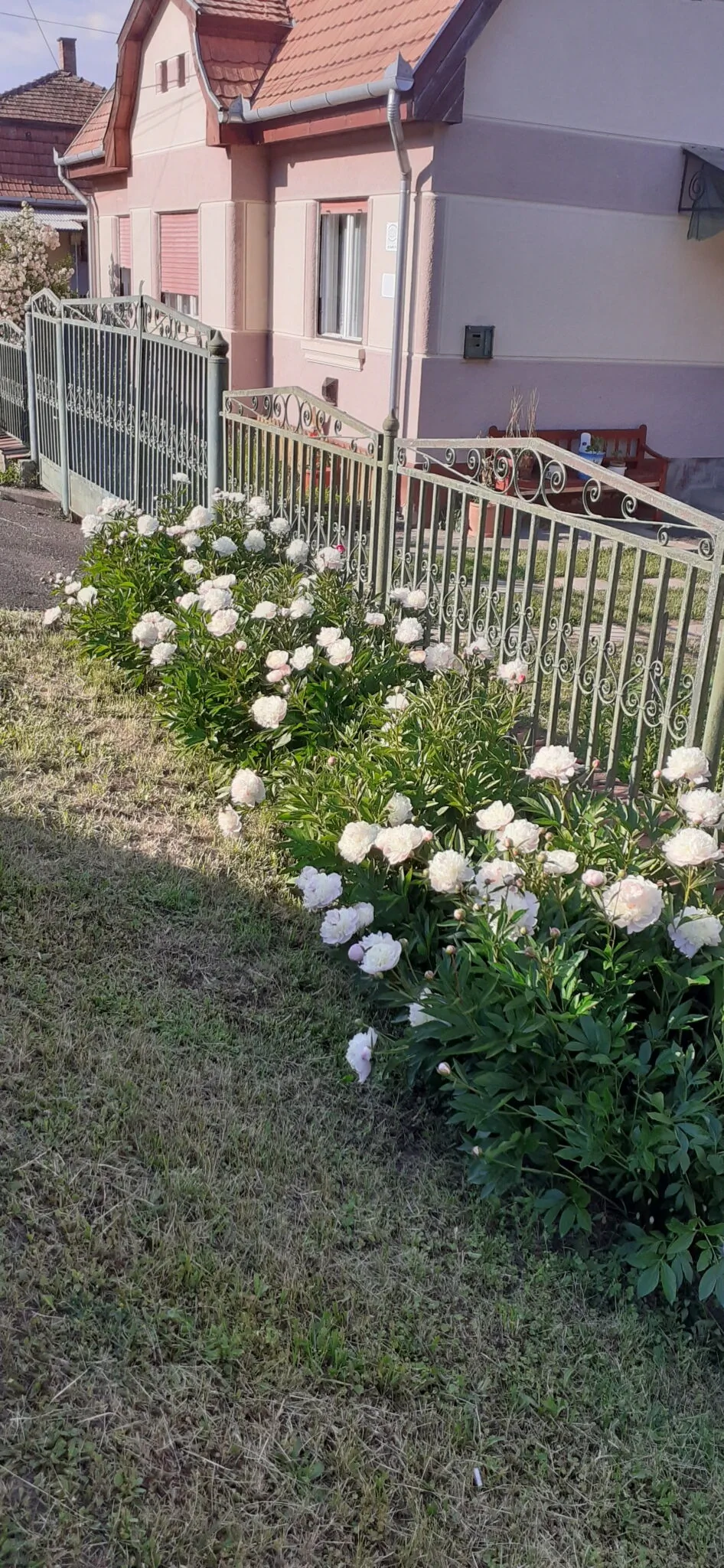 Matula Vendégház Benczúrfalva – Szécsény, Maďarsko