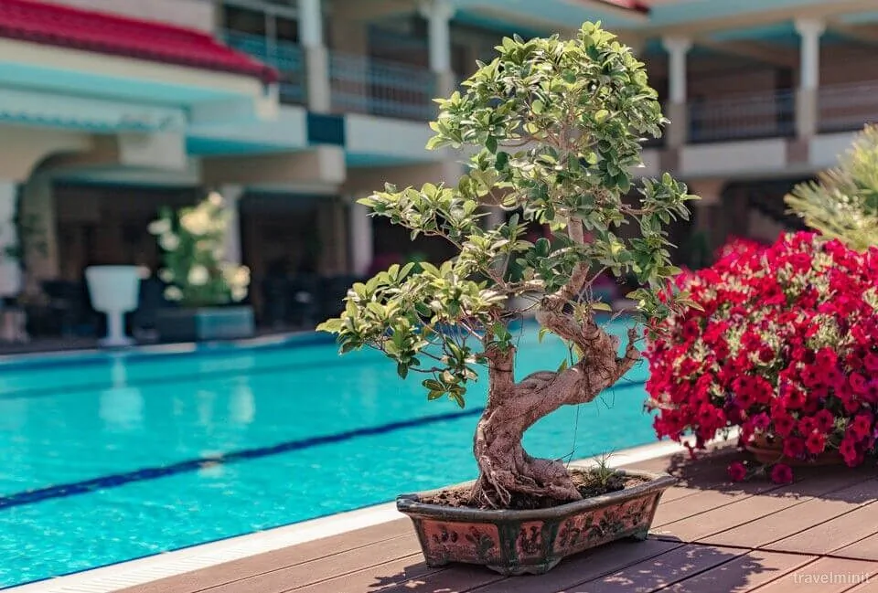 Vox Maris Grand Resort Costinești – Costineşti, România