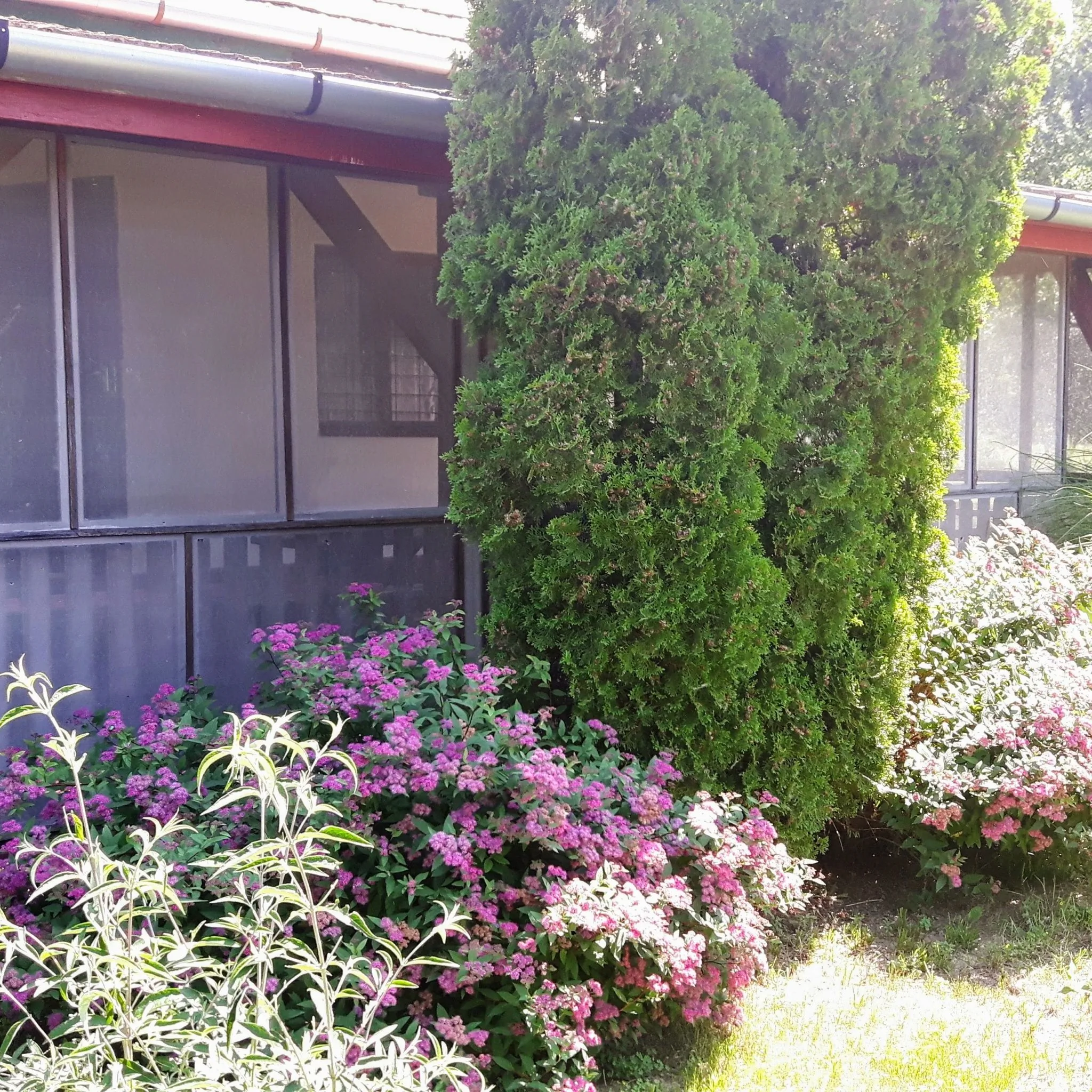 Tiszai Vándor Apartmanház Kisköre - foto 7
