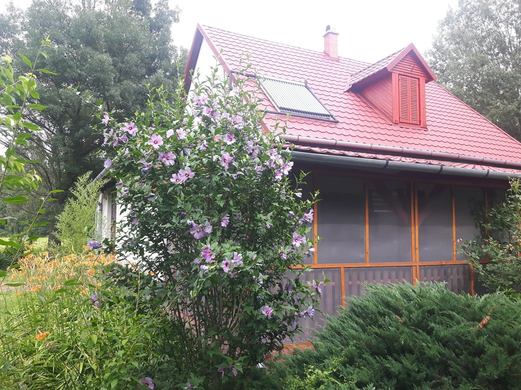 Tiszai Vándor Apartmanház Kisköre - foto 1