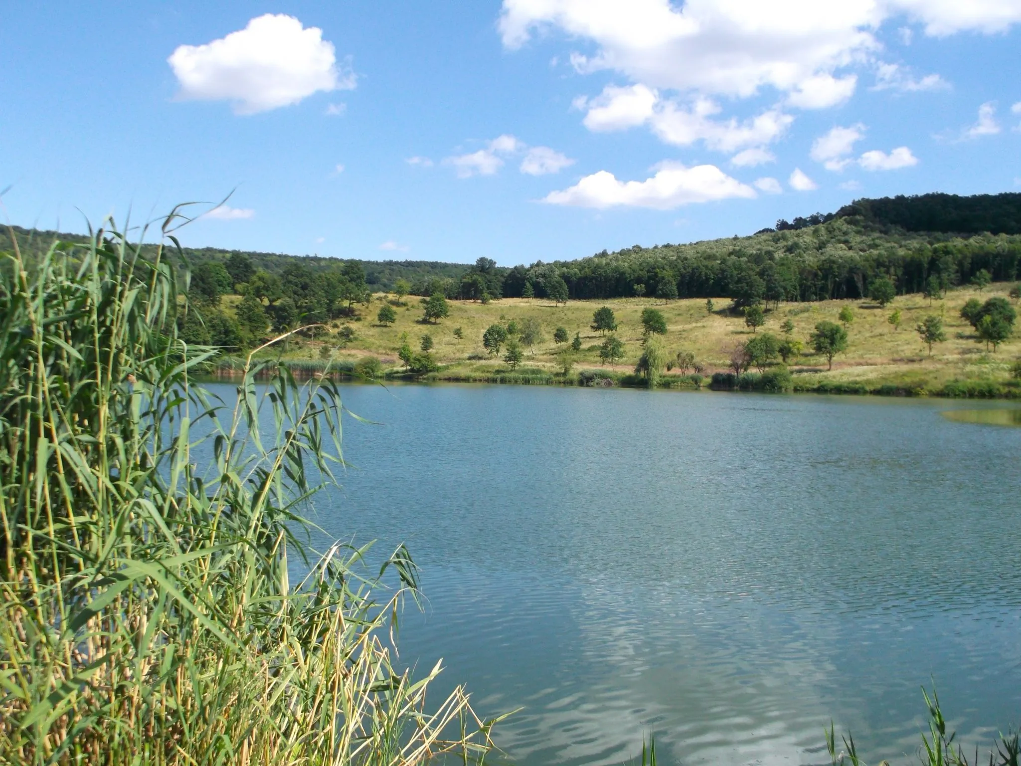 Rózsa Vendégház Szálka - foto 10